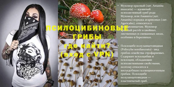 дурь Бородино