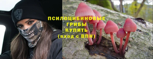 дурь Бородино