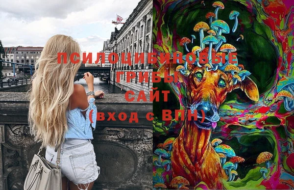 дурь Бородино
