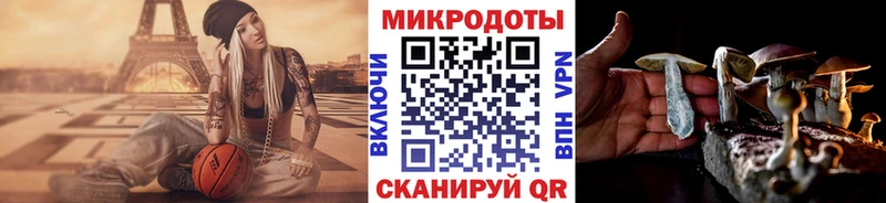 Псилоцибиновые грибы Psilocybine cubensis сайты даркнета какой сайт Нижневартовск
